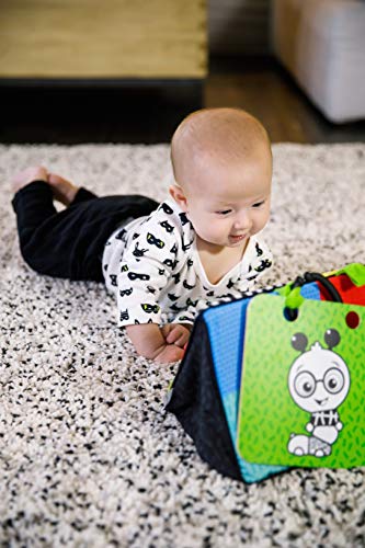 Baby Einstein Activity Mirror with Cards Baby Einstein Activity Mirror with Cards